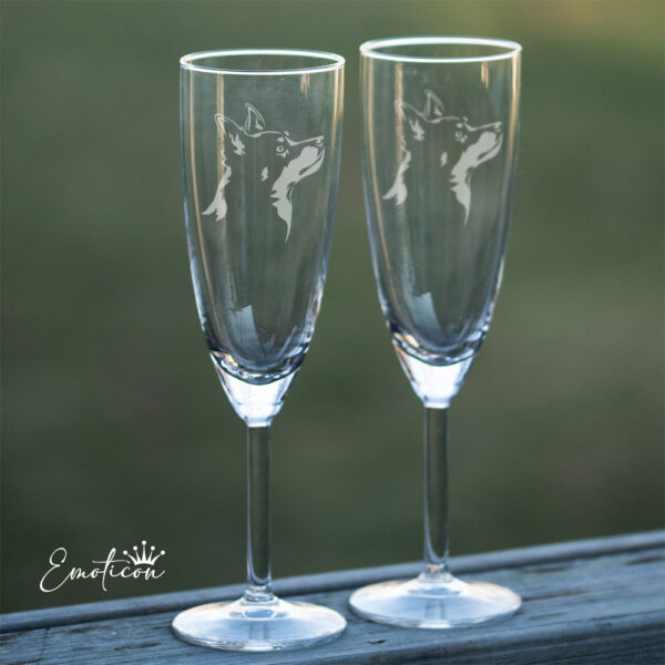Champagneglas lancashire heeler