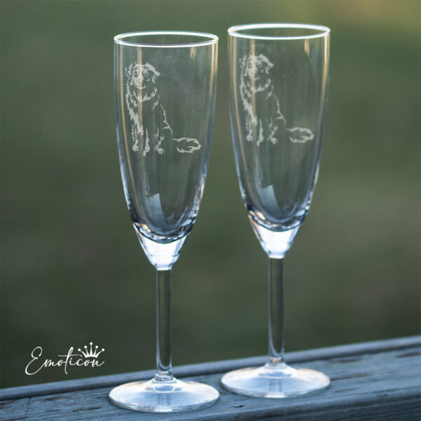 Champagneglas miniature american shepherd