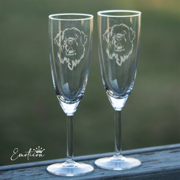Champagneglas newfoundlandshund