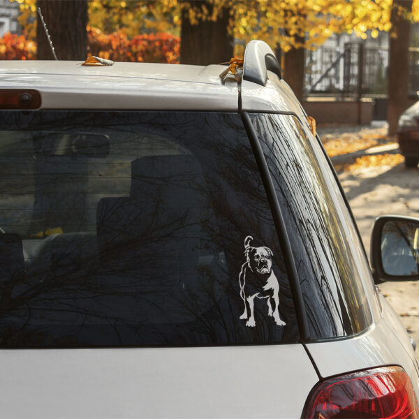 Dekal continental bulldog