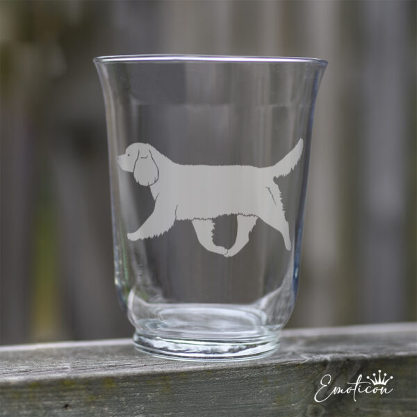 Vas/ljuslykta american water spaniel