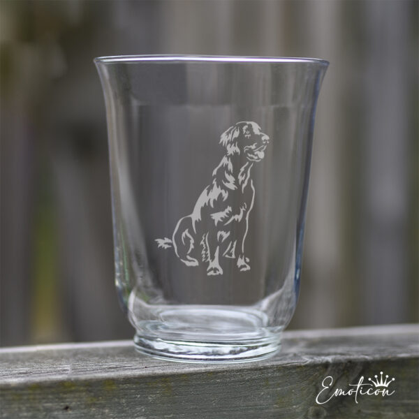 Vas/ljuslykta flatcoated retriever
