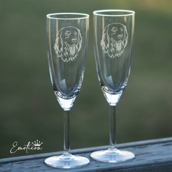Champagneglas grosser münsterländer