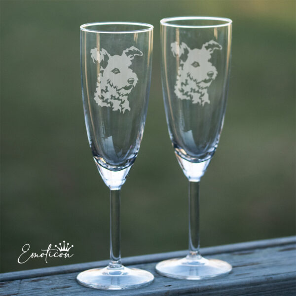 Champagneglas pumi