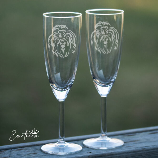 Champagneglas shih tzu