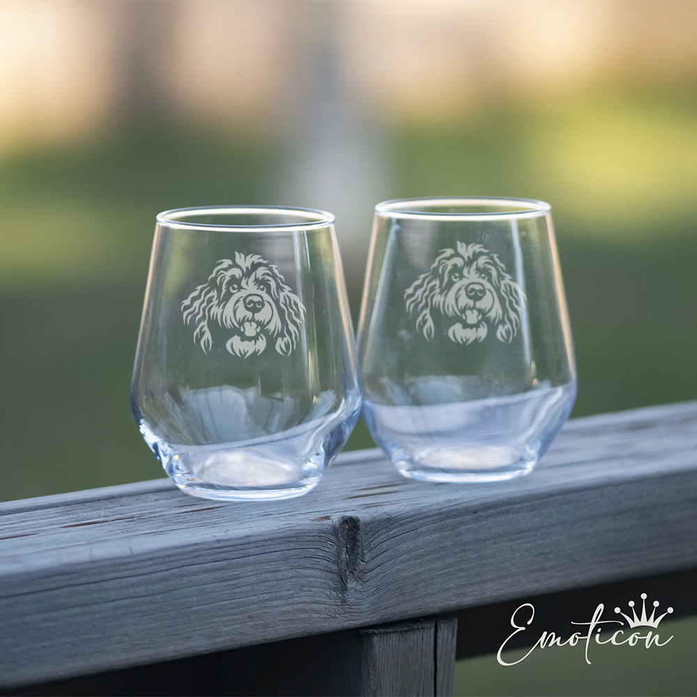 Glas bernedoodle