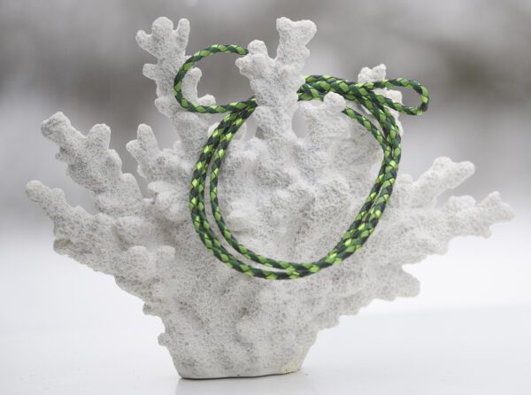 Utställningskoppel i känguruläder, flätat i färgerna lime, dark green, yellowgreen & jade