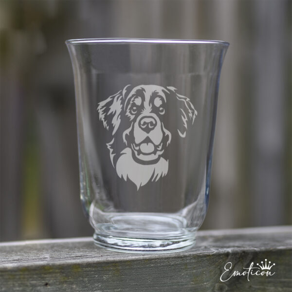 Vas/ljuslykta berner sennenhund
