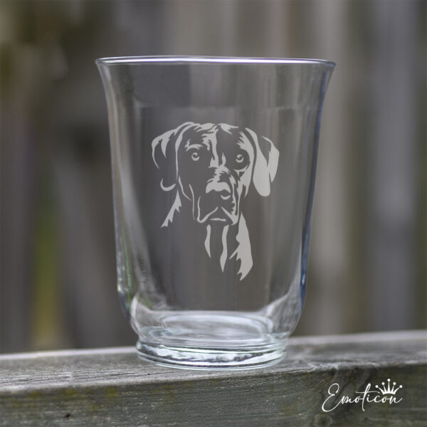 Vas/ljuslykta rhodesian ridgeback