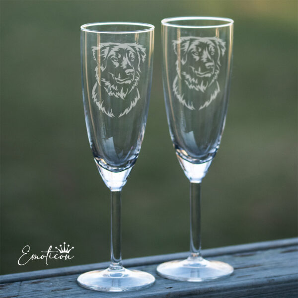 Champagneglas nova scotia duck tolling retriever