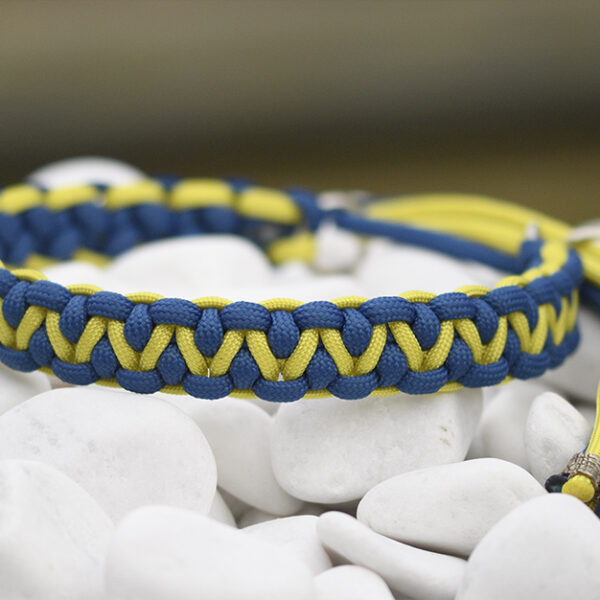Halsband i Royal Blue & Banana Yellow
