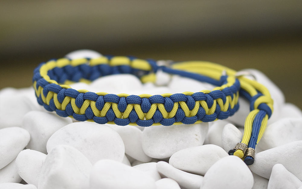 Halsband i Royal Blue & Banana Yellow