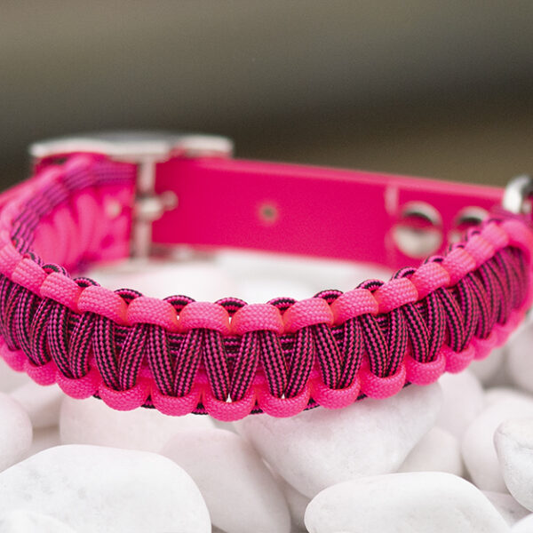 Halsband i Neon Pink, Neon Pink & Black Stripes