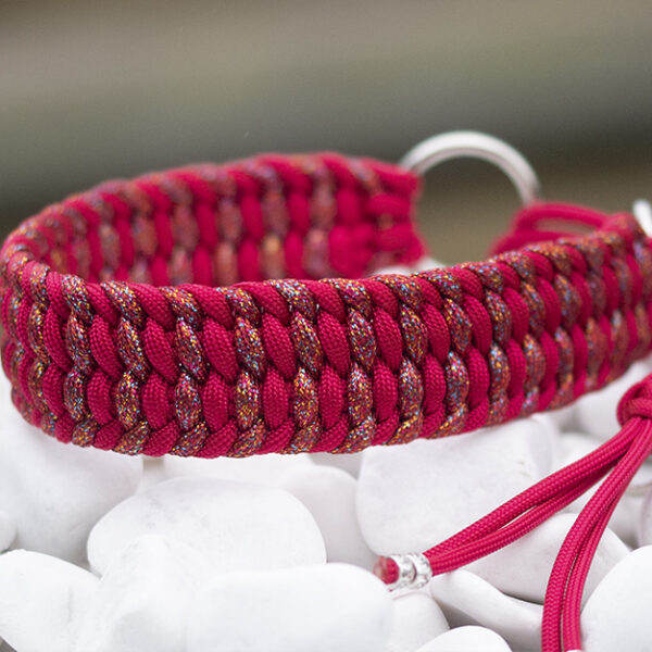 Halsband i Red Velvet & Scarlet Macaw