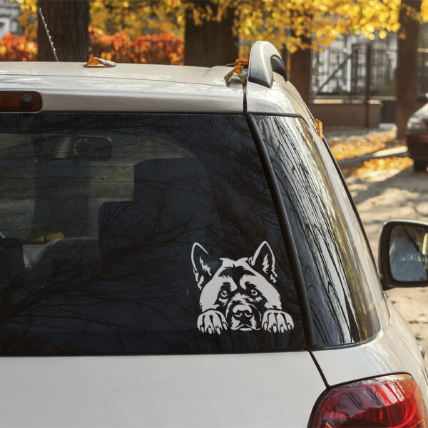 Dekal american akita