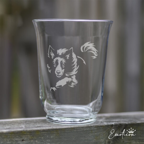 Vas/ljuslykta border collie