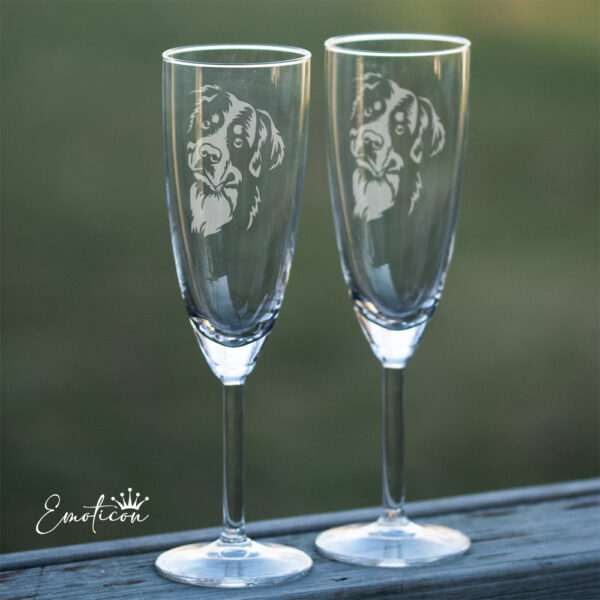 Champagneglas berner sennenhund