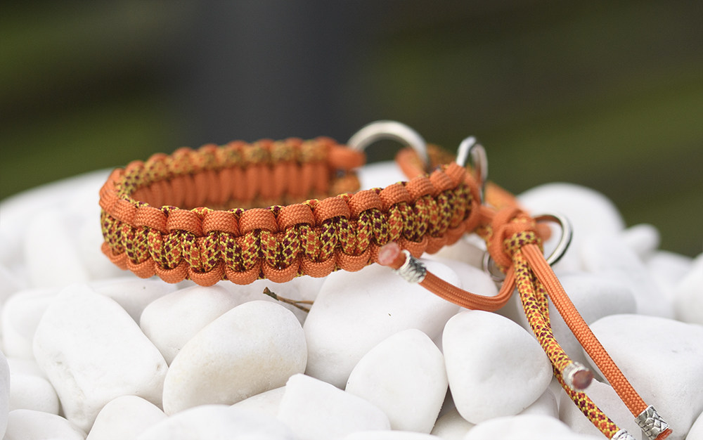 Halsband i Sweet Fall & Fox Orange