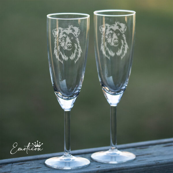 Champagneglas australian shepherd