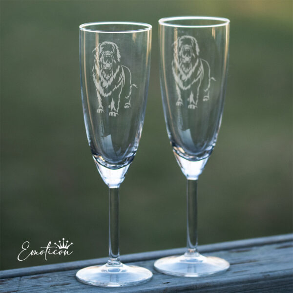 Champagneglas newfoundlandshund