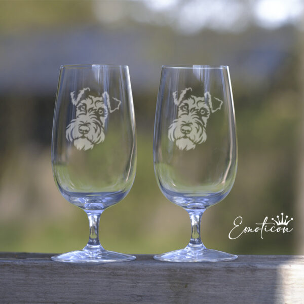 Ölglas foxterrier, strävhårig