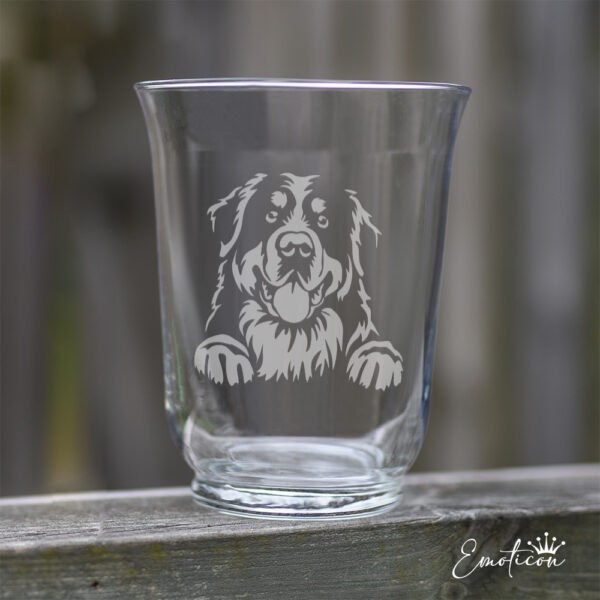 Vas/ljuslykta berner sennenhund