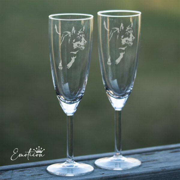 Champagneglas australian kelpie