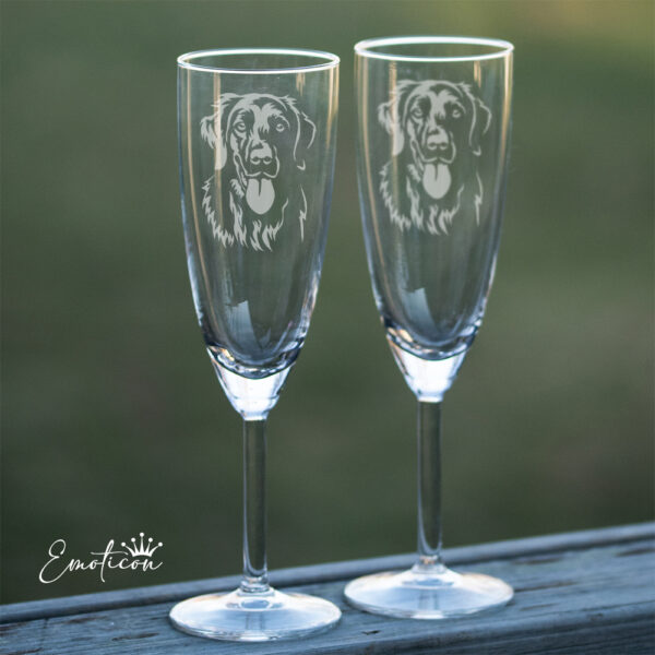 Champagneglas flatcoated retriever