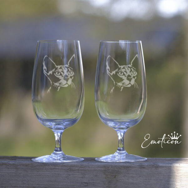 Ölglas katt - sphynx