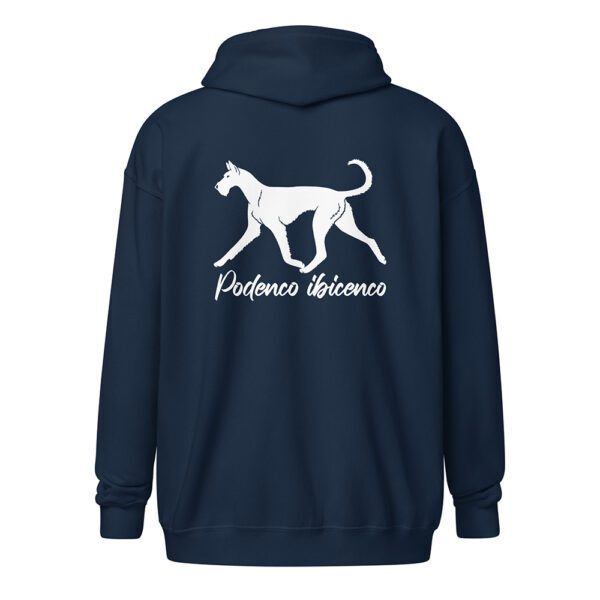 Hoodie podenco ibicenco, strävhårig
