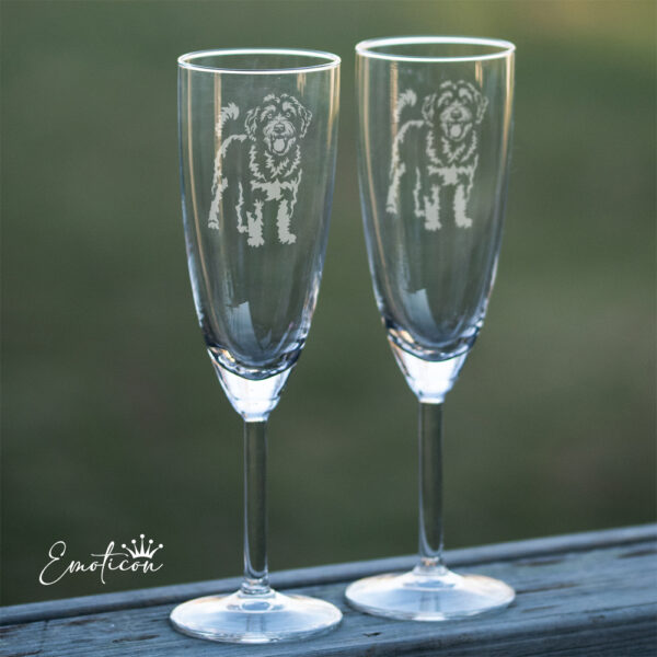 Champagneglas aussiepoo