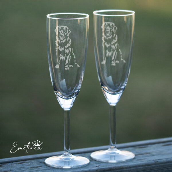 Champagneglas howavart