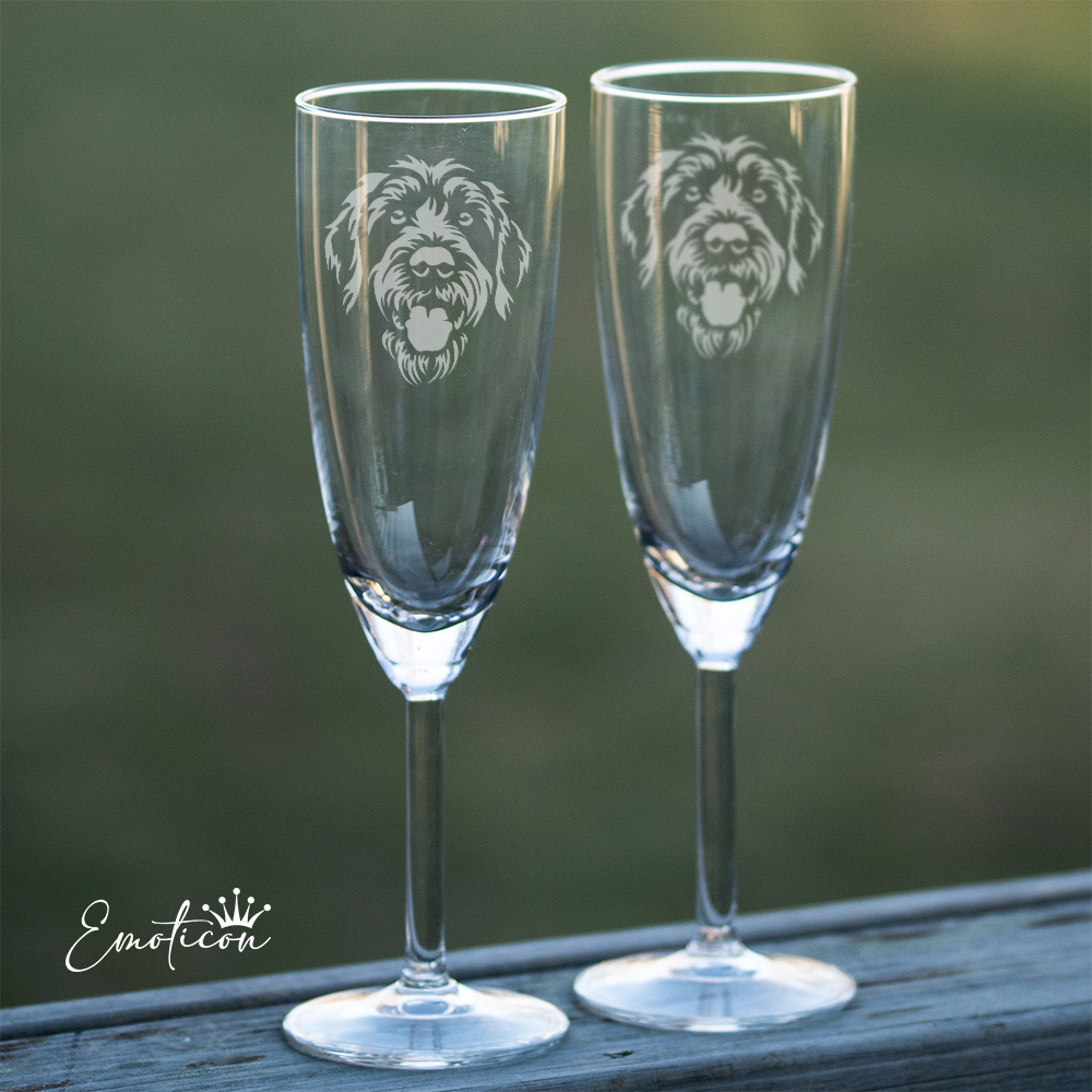 Champagneglas griffon d'arret à poil dur