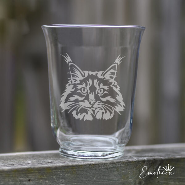 Vas/ljuslykta katt - maine coon