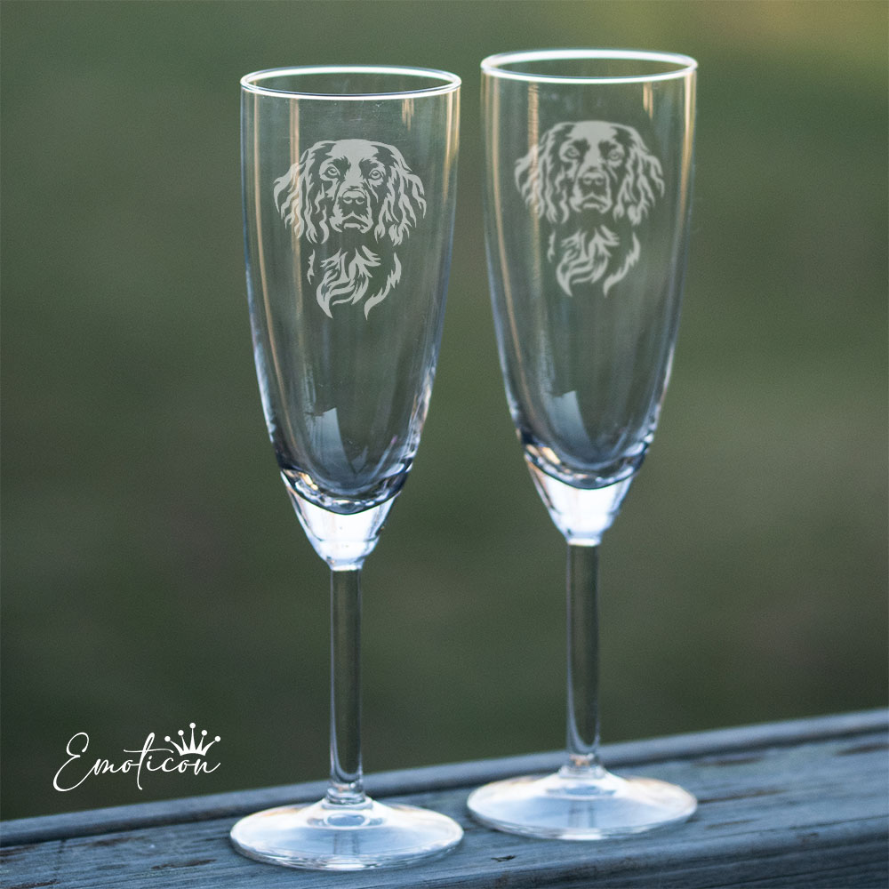 Champagneglas boykinspaniel