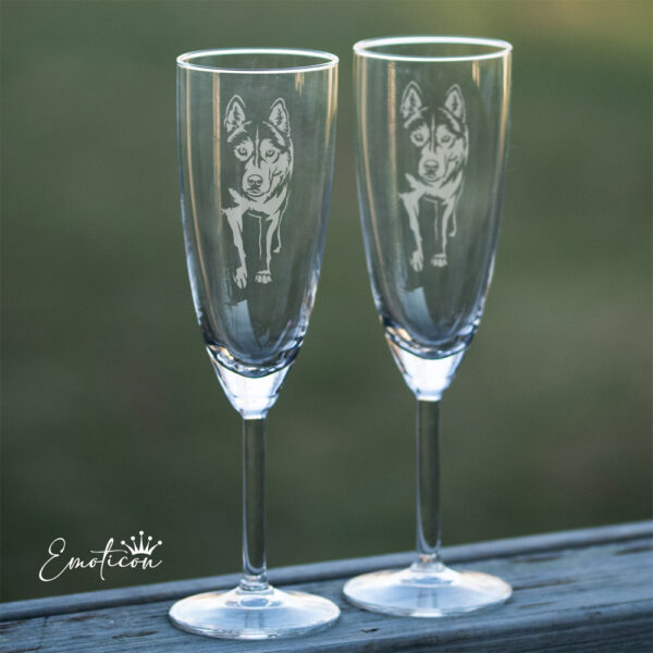 Champagneglas siberian husky