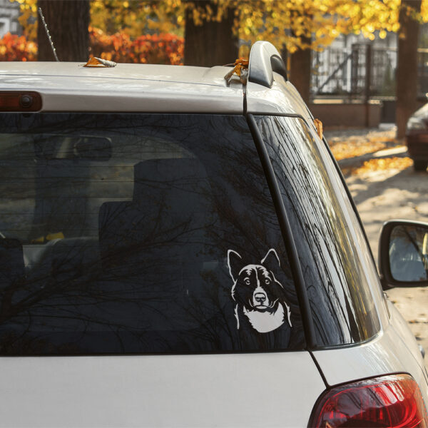 Dekal karelsk björnhund