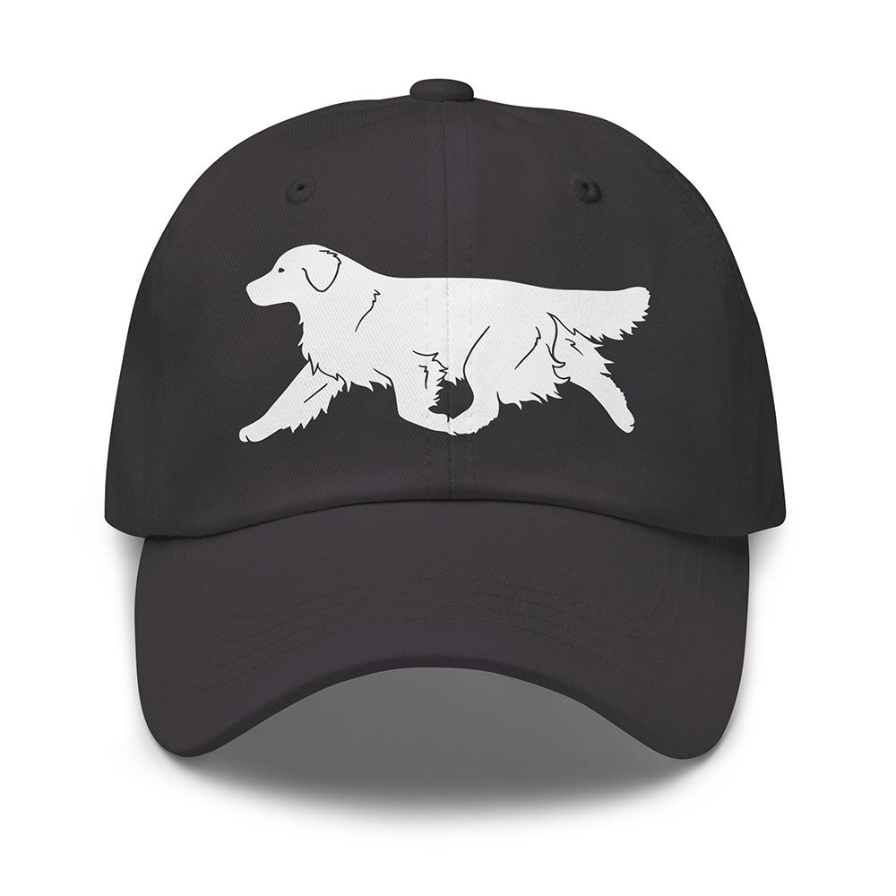 Keps golden retriever