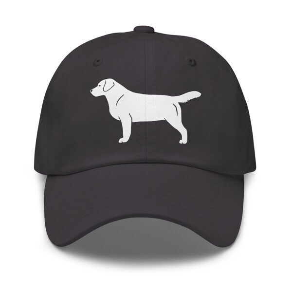 Keps labrador retriever