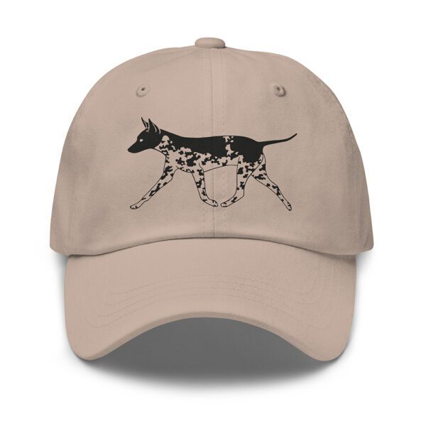 Keps american hairless terrier