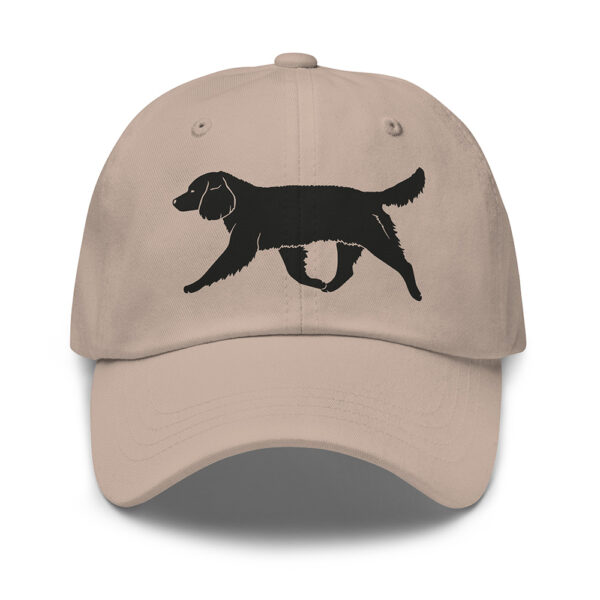 Keps american water spaniel