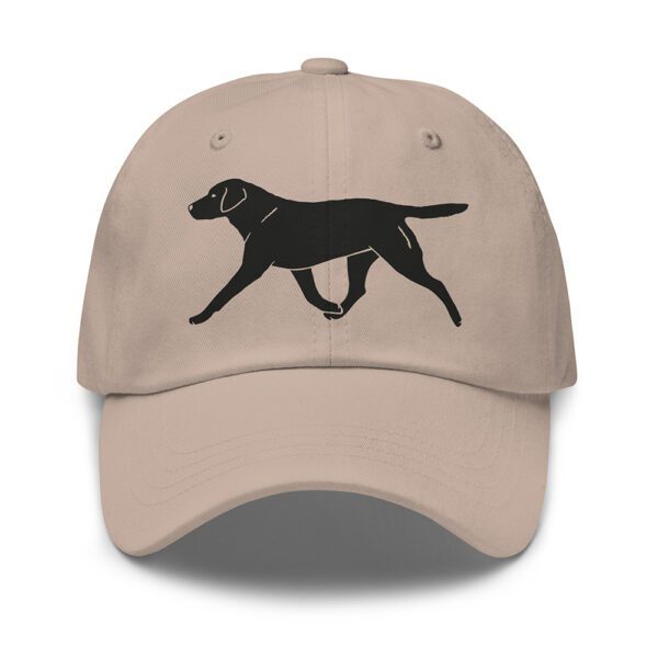 Keps chesapeake bay retriever