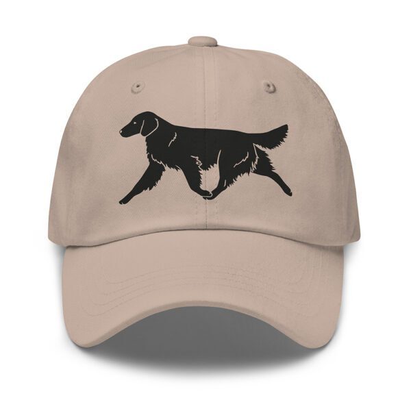 Keps flatcoated retriever