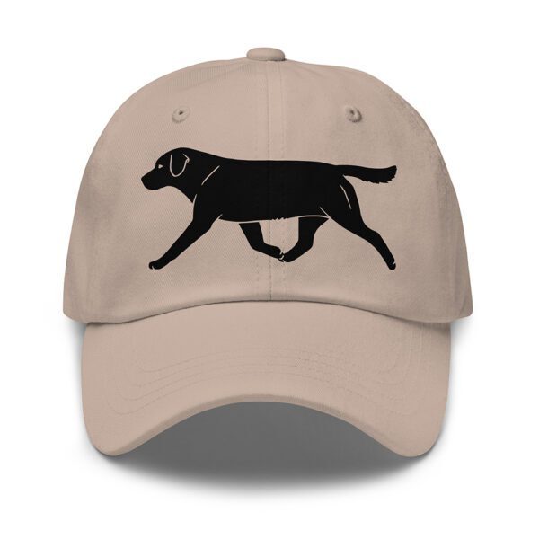 Keps labrador retriever