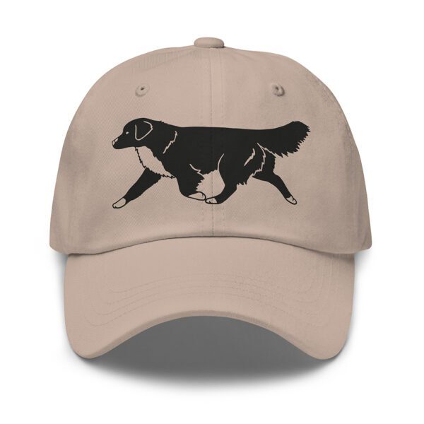 Keps nova scotia duck tolling retriever