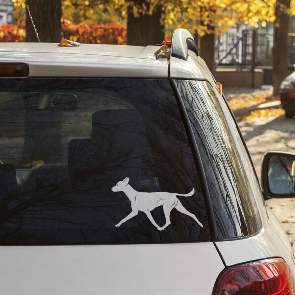 Dekal xoloitzcuintle