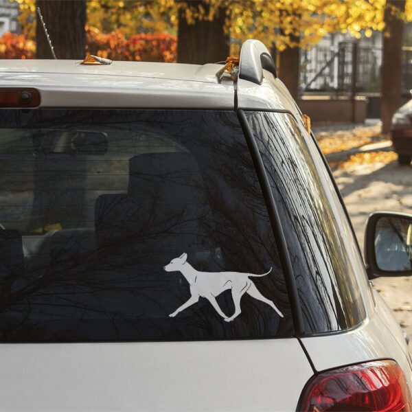 Dekal xoloitzcuintle