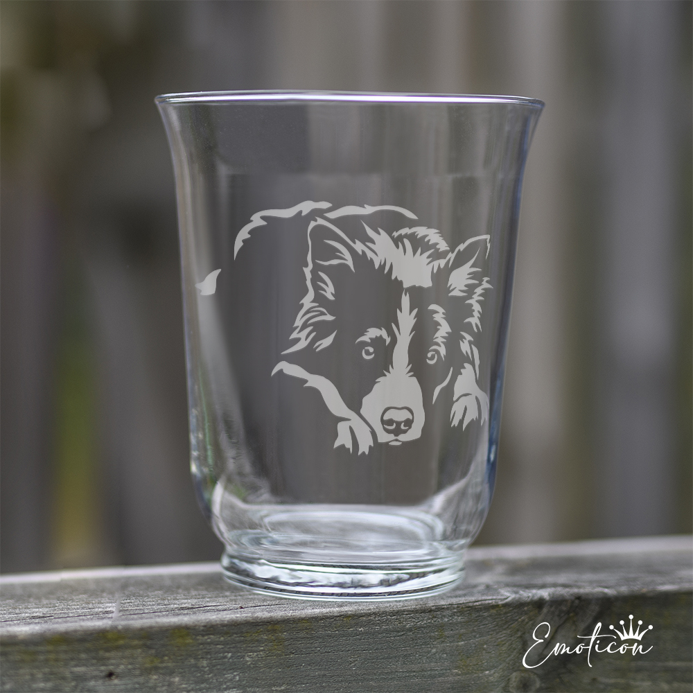 Vas/ljuslykta border collie