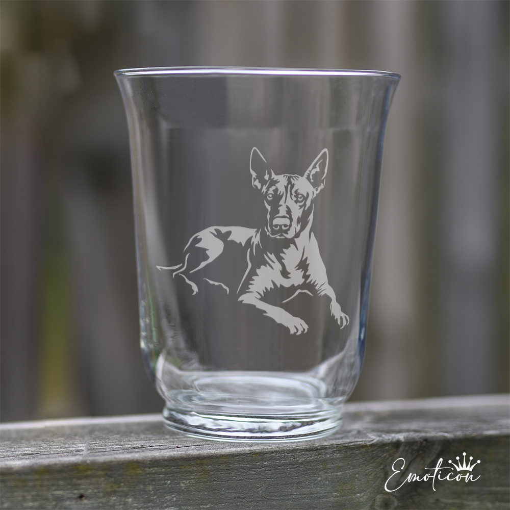 Vas/ljuslykta xoloitzcuintle