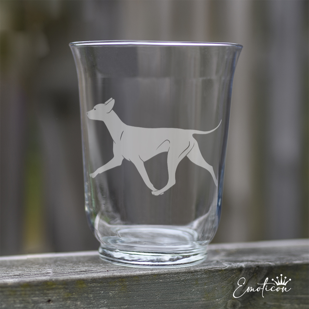 Vas/ljuslykta xoloitzcuintle